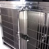 Stainless Steel Cage Bank On Rolling Base