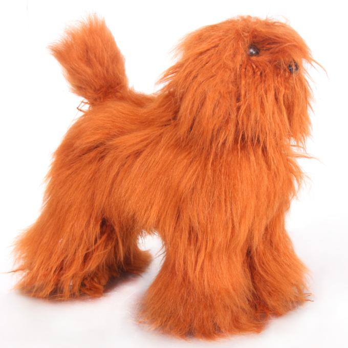 Teddy Bear Model Dog Practice Kit