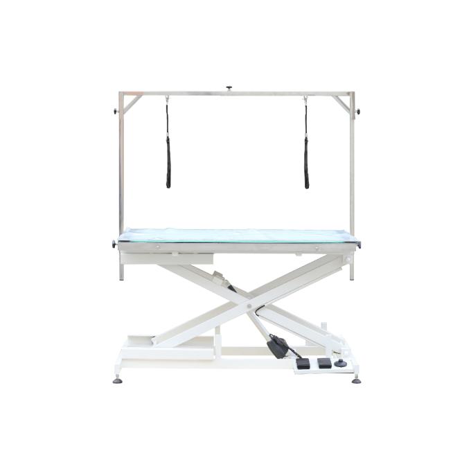 LED Lighted Electric Lift Grooming Table Aeolus Pet