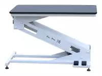 The Big Z Electric Lift Grooming Table