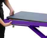 Purple Pro Electric Lift Grooming Table