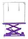 Purple Pro Electric Lift Grooming Table