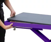 Purple or White Pro Electric Lift Grooming Table