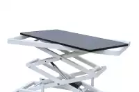 The Accordion Electric Lift Grooming Table