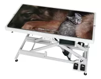 Table Mat (Dog/Cat Design)