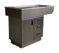 FT-851-DS Stainless Steel Wet Table