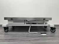 Battery Operated Veterinarian Transport Table with Stainless Steel Top