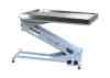 Aeolus Electric Lift Big Z Veterinary Exam Table - Very Low Lift To High Lift