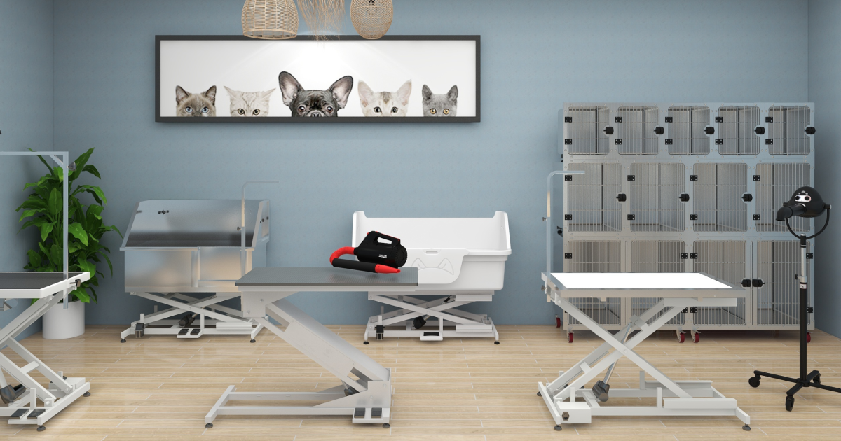 Dog salon equipment sales