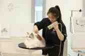 Silver Aeolus TD-912 Pet Neck-Hanging Dryer