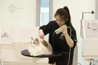 Aeolus TD-912 Pet Neck-Hanging Dryer
