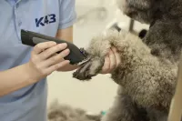 Aeolus Excalibur II Cordless A5 Dog Clipper with Vacuum Kit