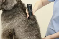 Aeolus Excalibur II Cordless A5 Dog Clipper with Vacuum Kit