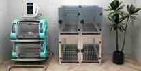 Breeding Equipment for Dog Breeders Oxygen cage and ICE Unit for Puppies and Dogs Cage Kennel