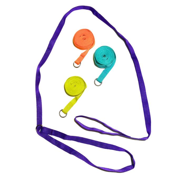 5/8" Slip Lead Nylon Leashes for Dog Training, Dog Grooming, or Veterinarians-70" long- 12 Pack